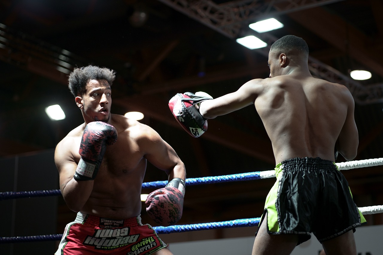 boxeo, boxeadores, cuadrilátero de boxeo, deportes, deporte de contacto, combate de lucha, boxeo, boxeo, boxeo, boxeo, boxeo, cuadrilátero de boxeo