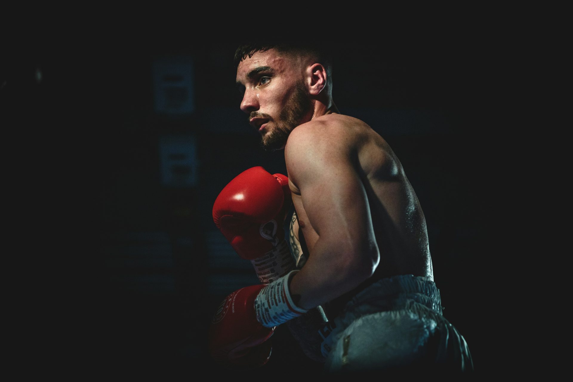 fotografía de boxeador